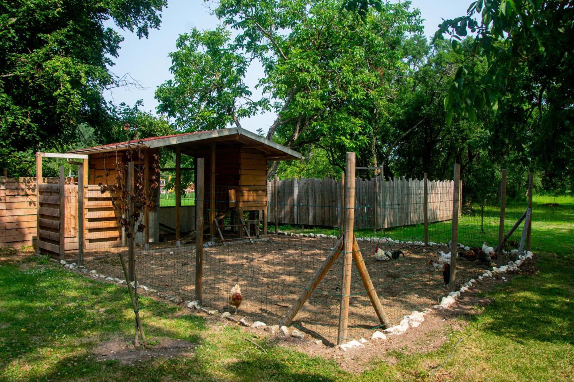 Pres Du Zoo De Beauval, Gites Agreable "Au Havre De Paix" Couffy Exterior photo